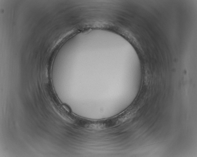 X0000081400251200702020327