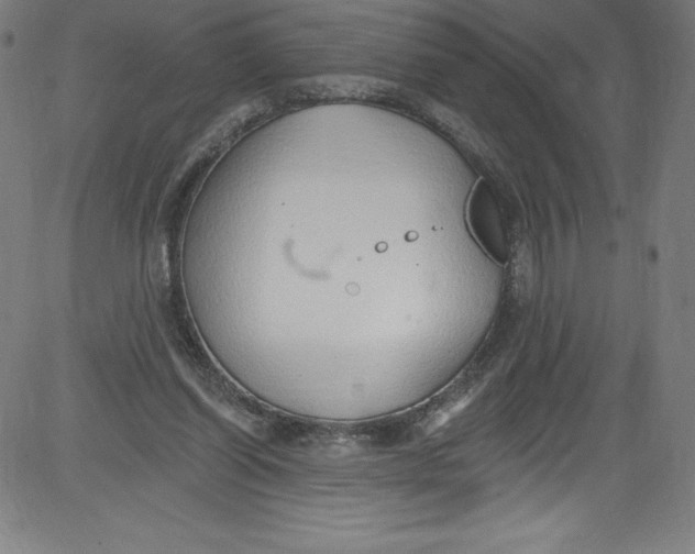 X0000081400254200702020327