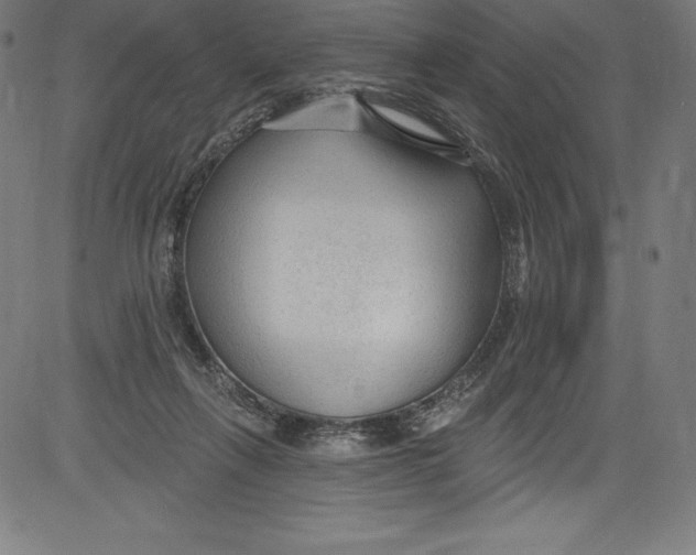 X0000081400263200702020328