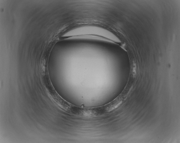 X0000081400264200702020328