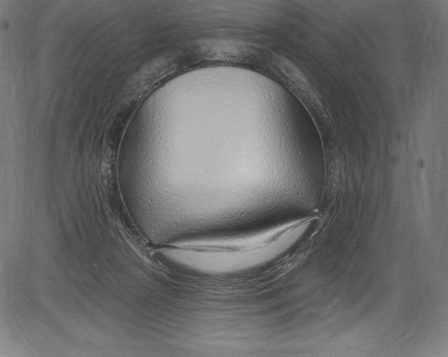 X0000081400265200702020328