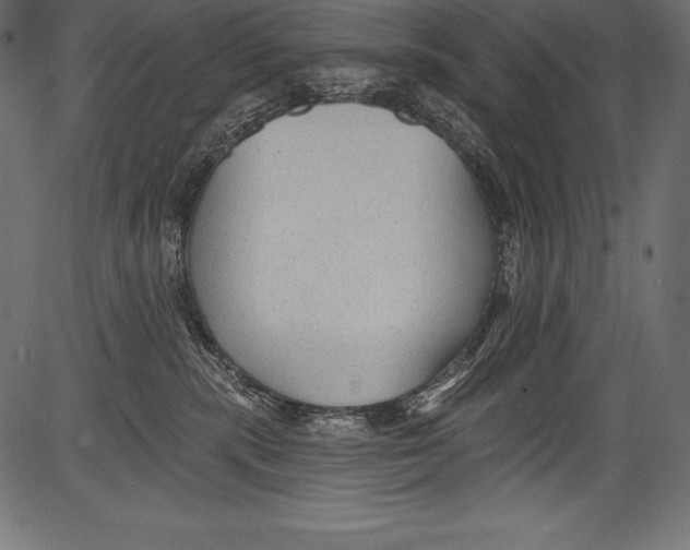 X0000081400283200702020328