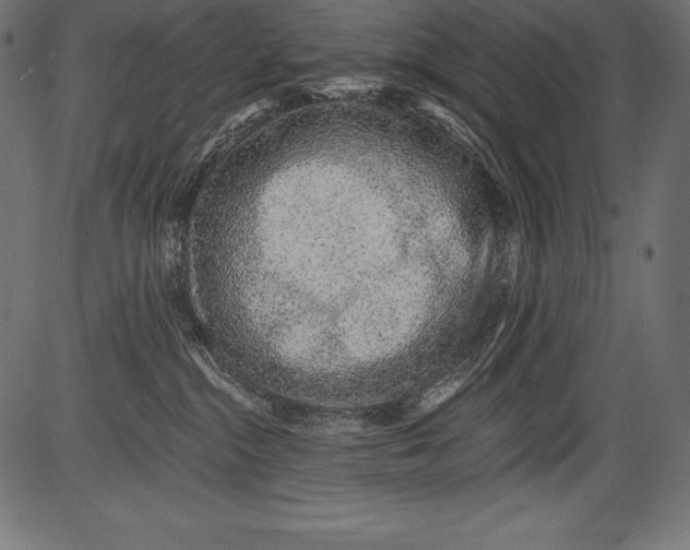 X0000081400284200702020328