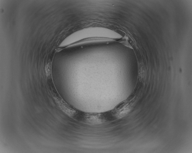 X0000081400285200702020328