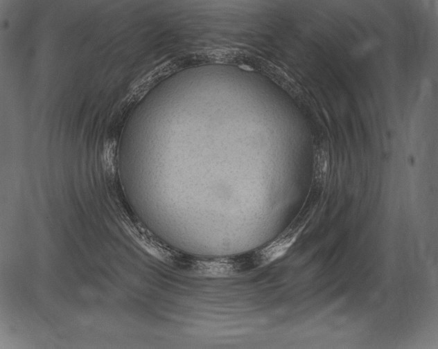 X0000081400286200702020328
