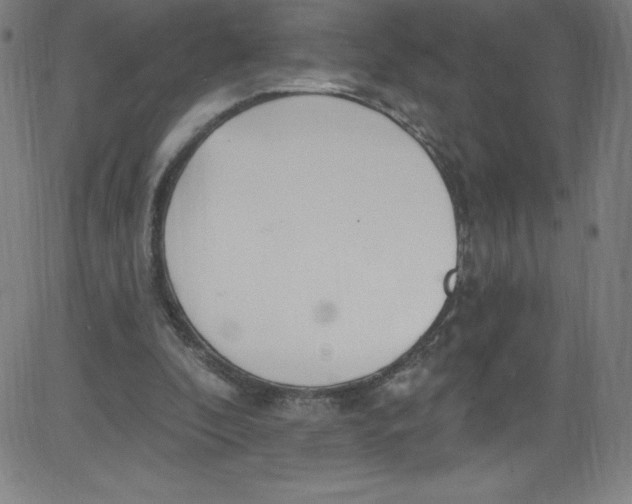 X0000081400296200702020327