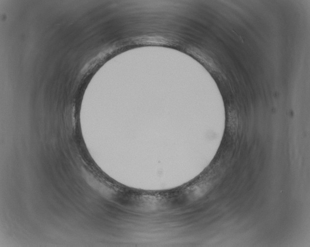 X0000081400302200702020327