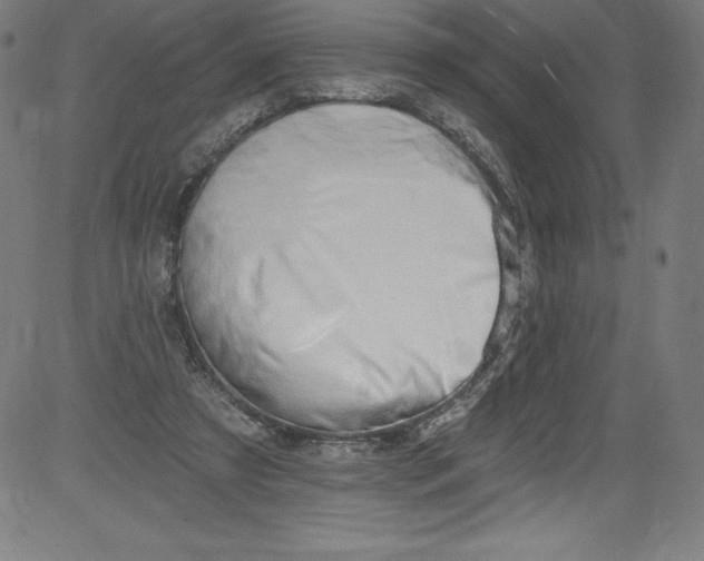 X0000081400305200702020327