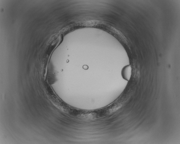 X0000081400307200702020327