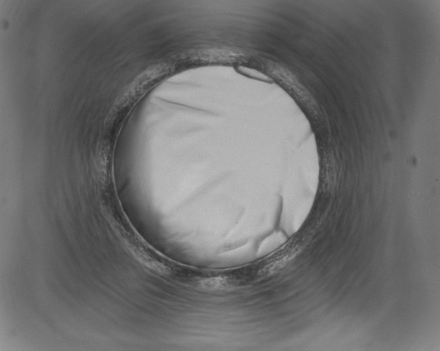 X0000081400309200702020327