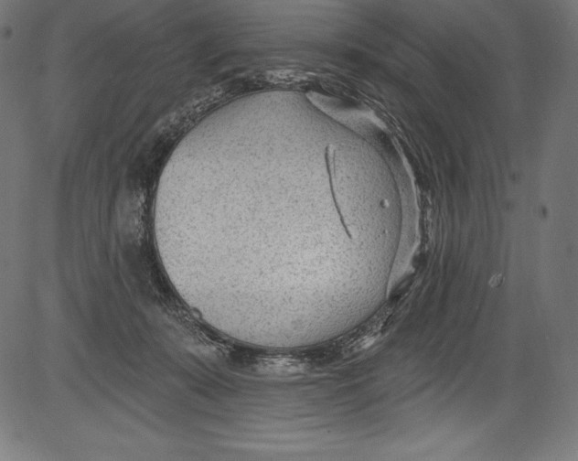 X0000081400319200702020327