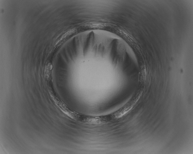 X0000081400325200702020327