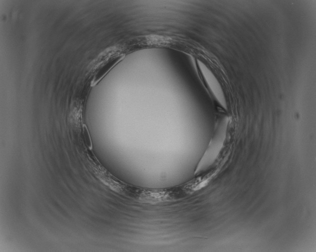 X0000081400329200702020327