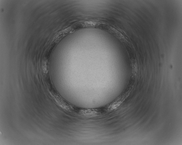 X0000081400331200702020327