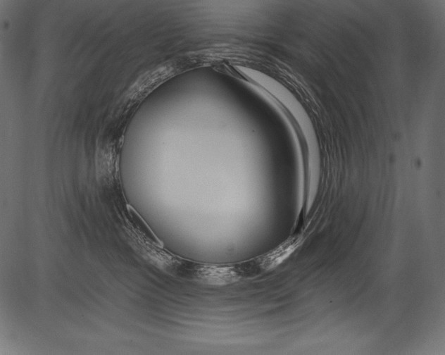 X0000081400333200702020327