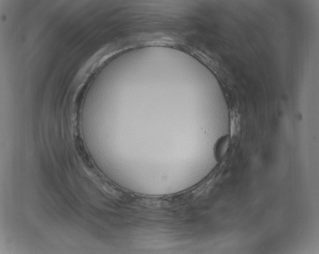 X0000081400339200702020326