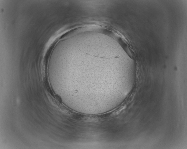 X0000081400343200702020326