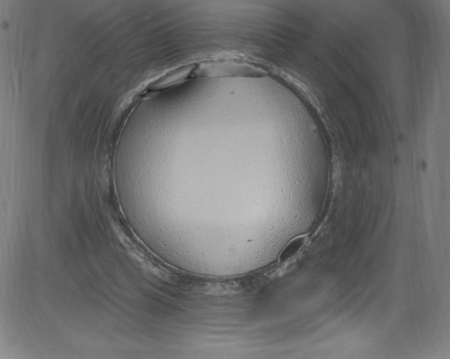 X0000081400345200702020326