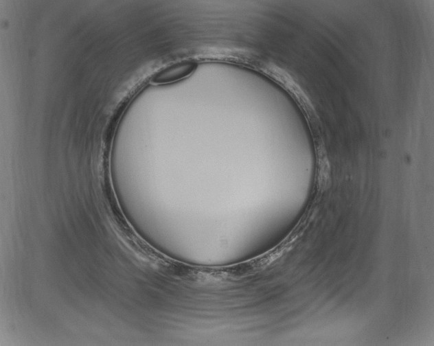 X0000081400346200702020326