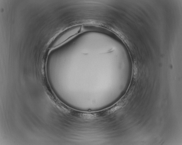 X0000081400347200702020326