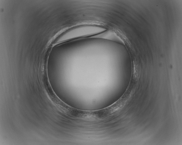 X0000081400348200702020326