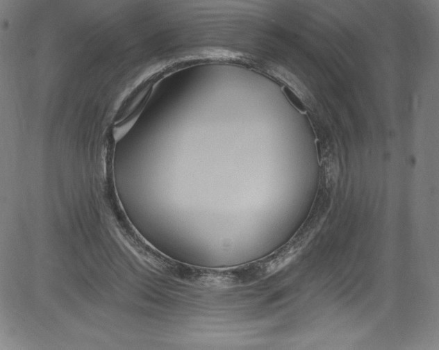 X0000081400350200702020326