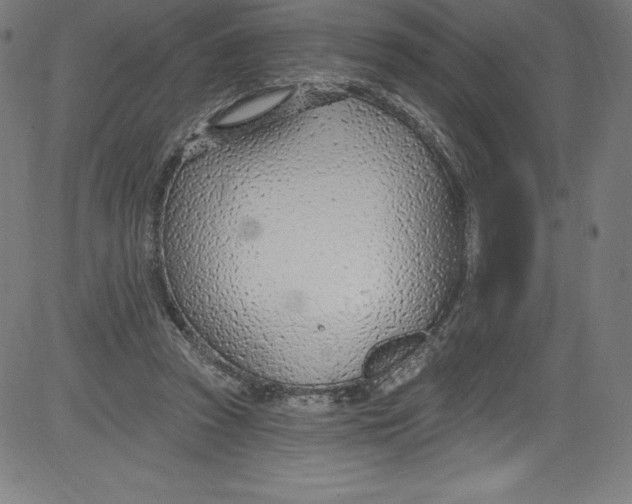 X0000081400353200702020326