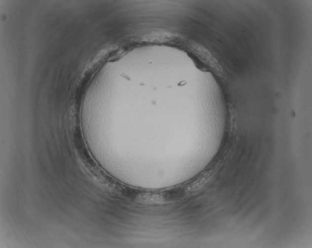 X0000081400354200702020326