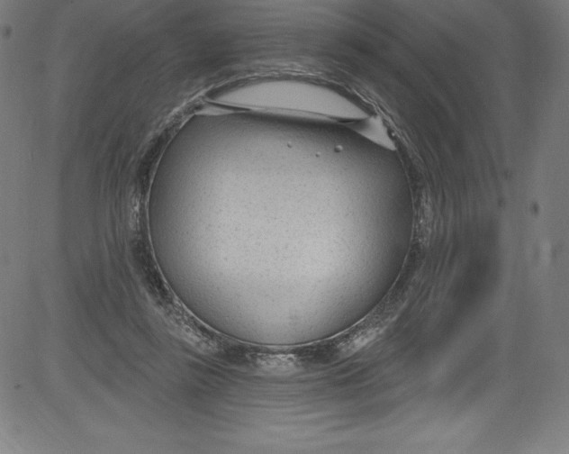 X0000081400355200702020326