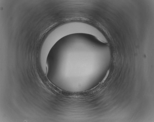 X0000081400356200702020326