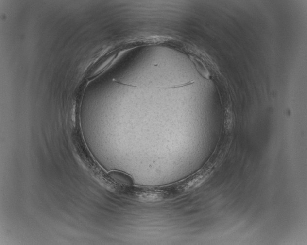 X0000081400358200702020326