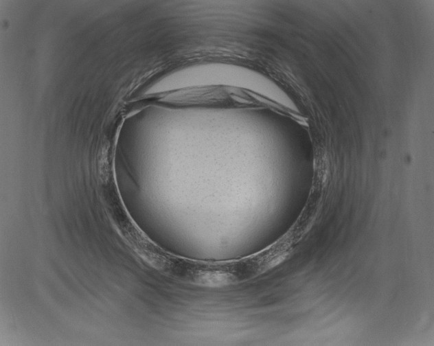 X0000081400360200702020326