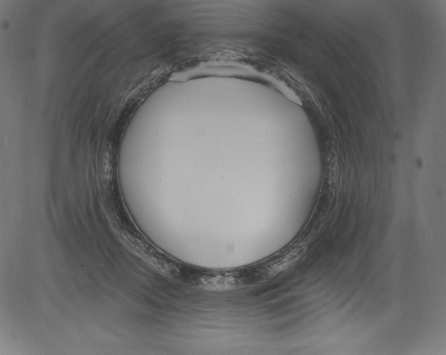 X0000081400362200702020326