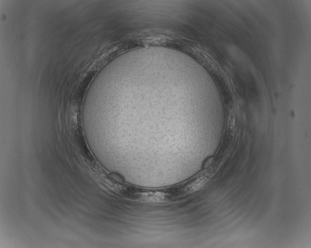 X0000081400363200702020326