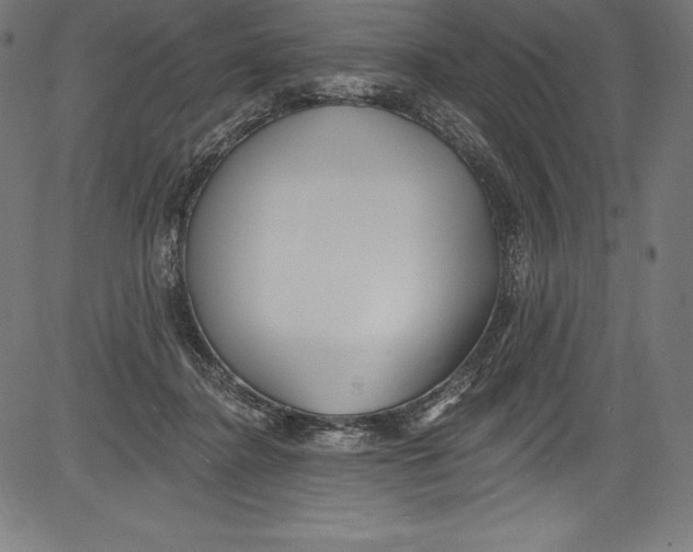 X0000081400364200702020326