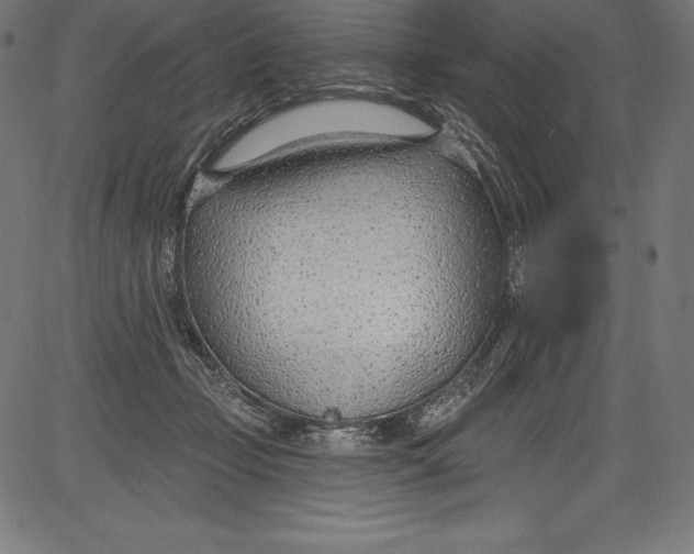 X0000081400365200702020326