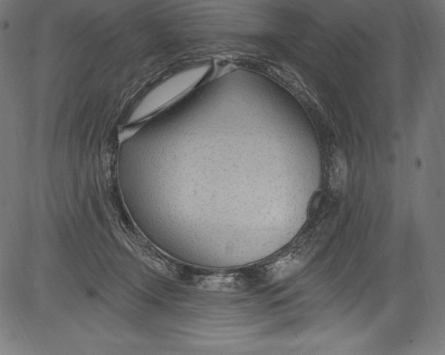 X0000081400366200702020326