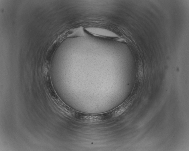 X0000081400367200702020326