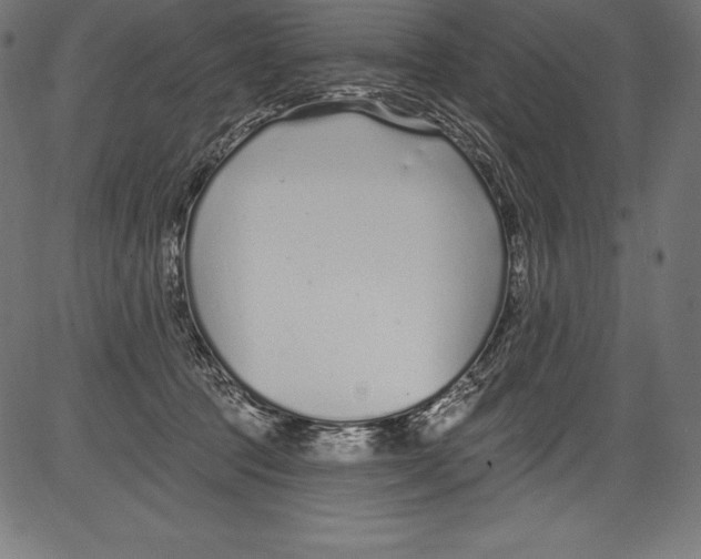 X0000081400369200702020326