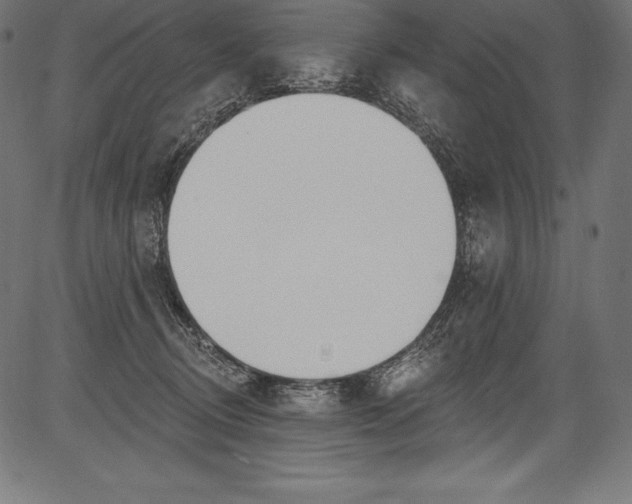 X0000081400370200702020326