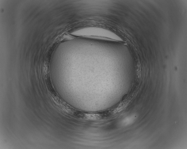 X0000081400371200702020326