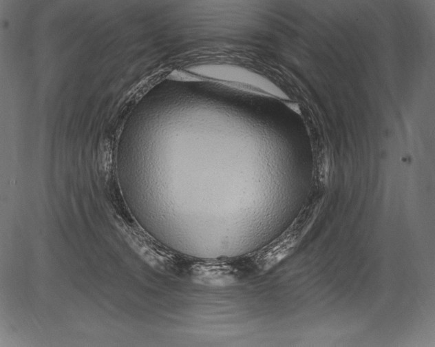 X0000081400372200702020326