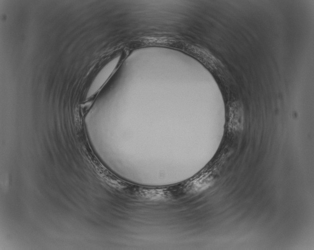 X0000081400377200702020326