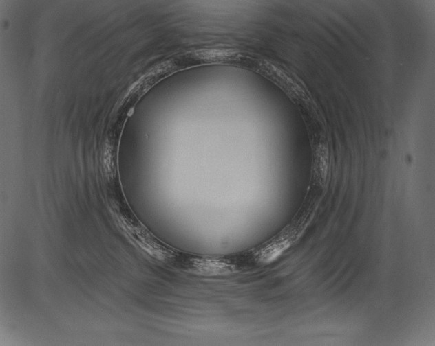 X0000081400380200702020326