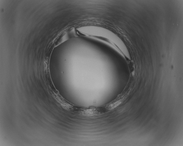 X0000081400382200702020326