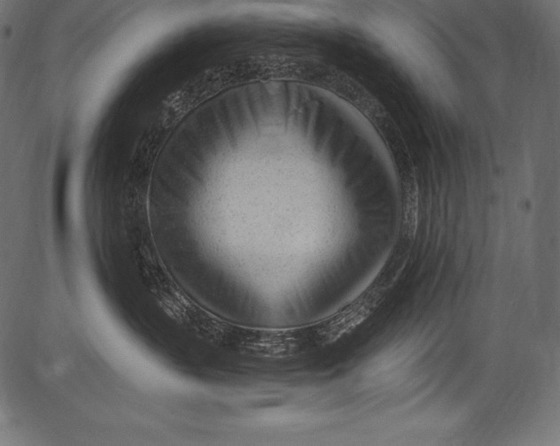 X0000081400383200702020326