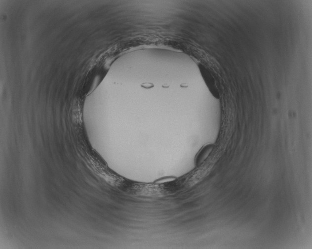 X0000081400384200702020326