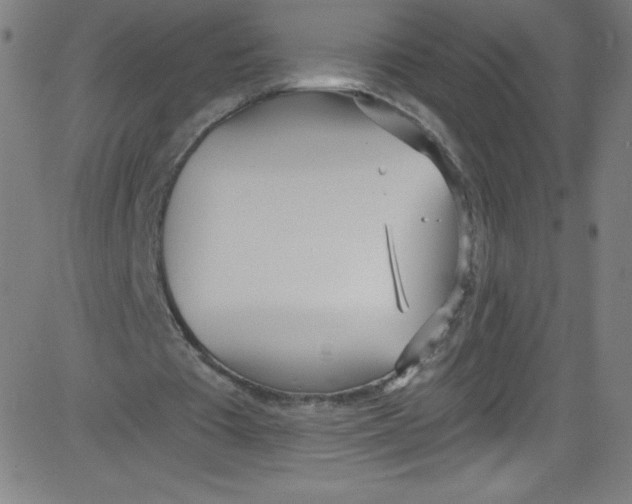 X0000081400385200702020326