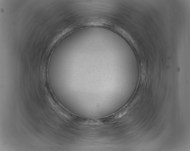 X0000081400386200702020326