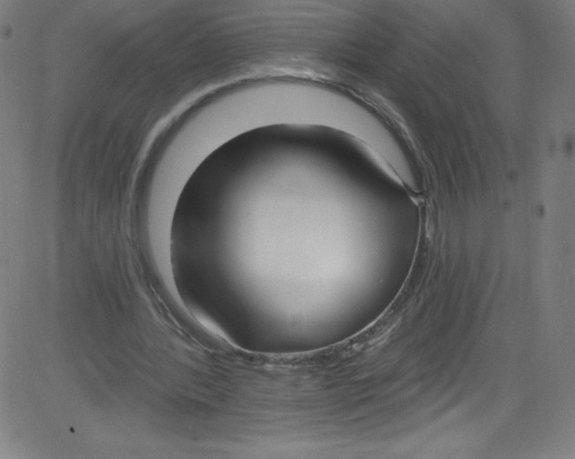 X0000081400388200702020326